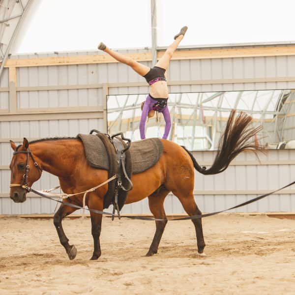 Vaulting at Nation Valley Ranch in Chesterville, Ontario